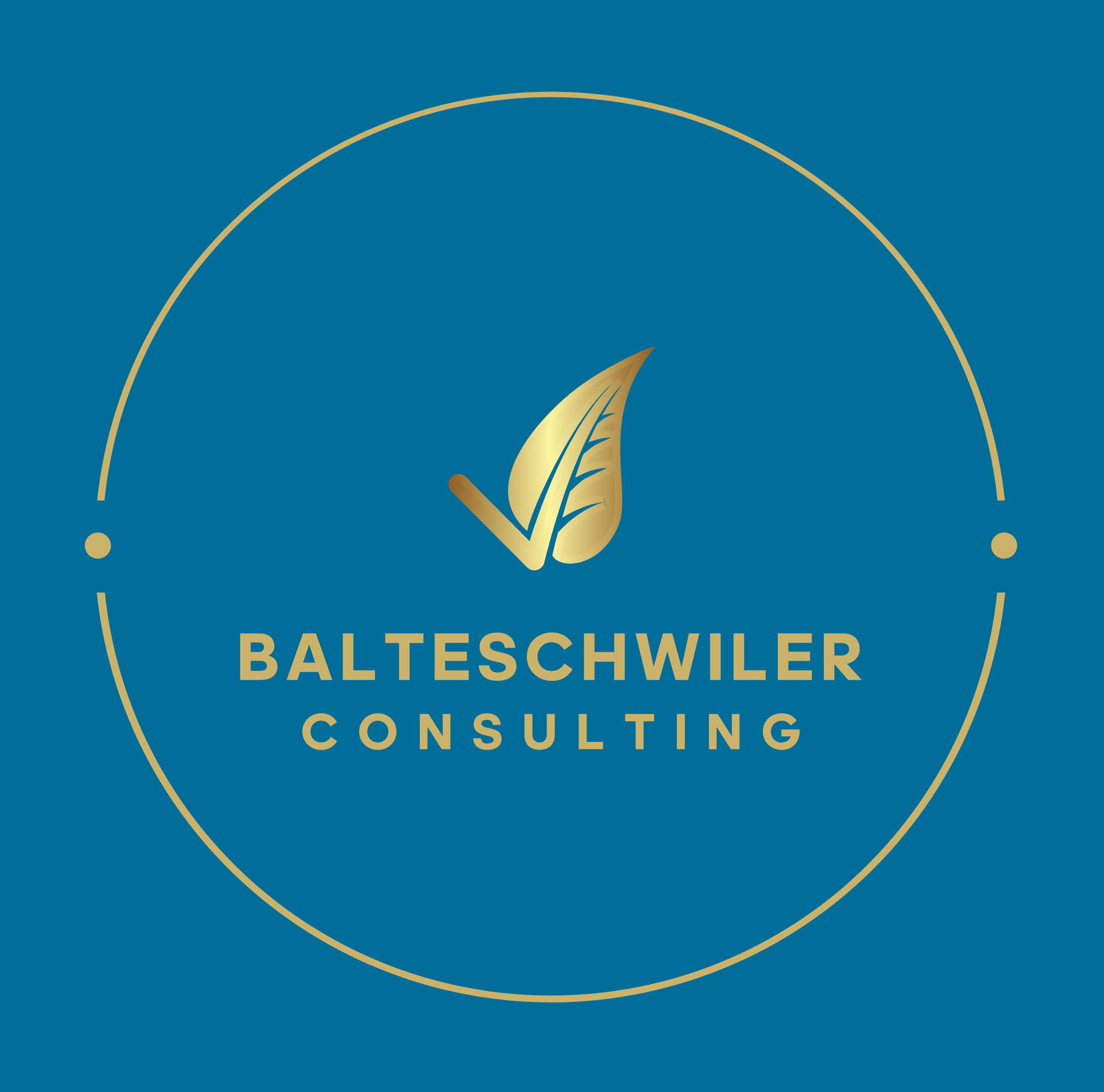 Balteschwiler Consulting Logo