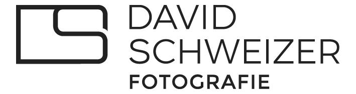 David Schweizer GmbH Logo