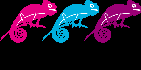 Cam&Léon Consulting SARL Logo