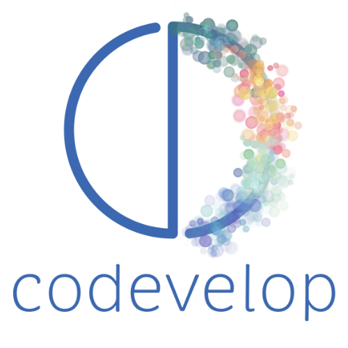 codevelop sàrl Logo
